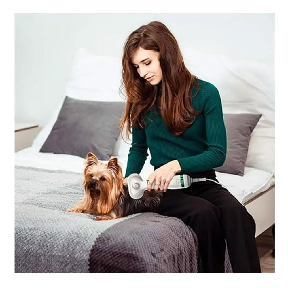 Cepillo Secador Pelo Mascotas