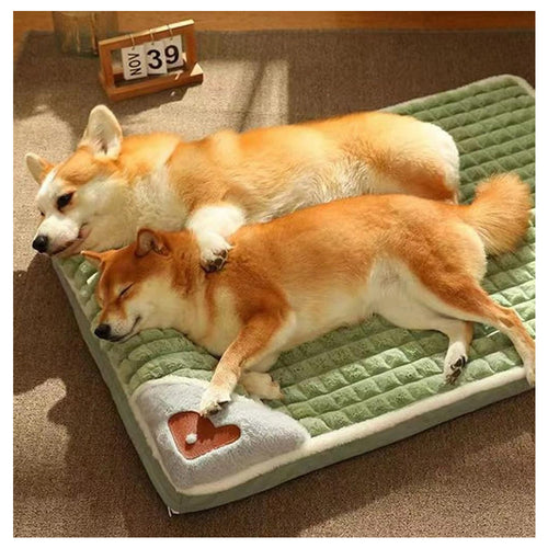 Cama Ortopédica Mascotas