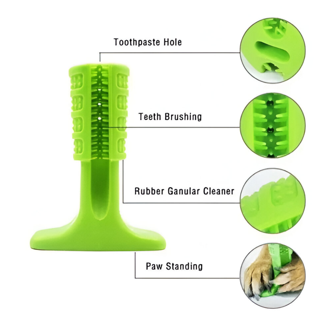 Juguete Morder Cepillo Dientes Pequeño V