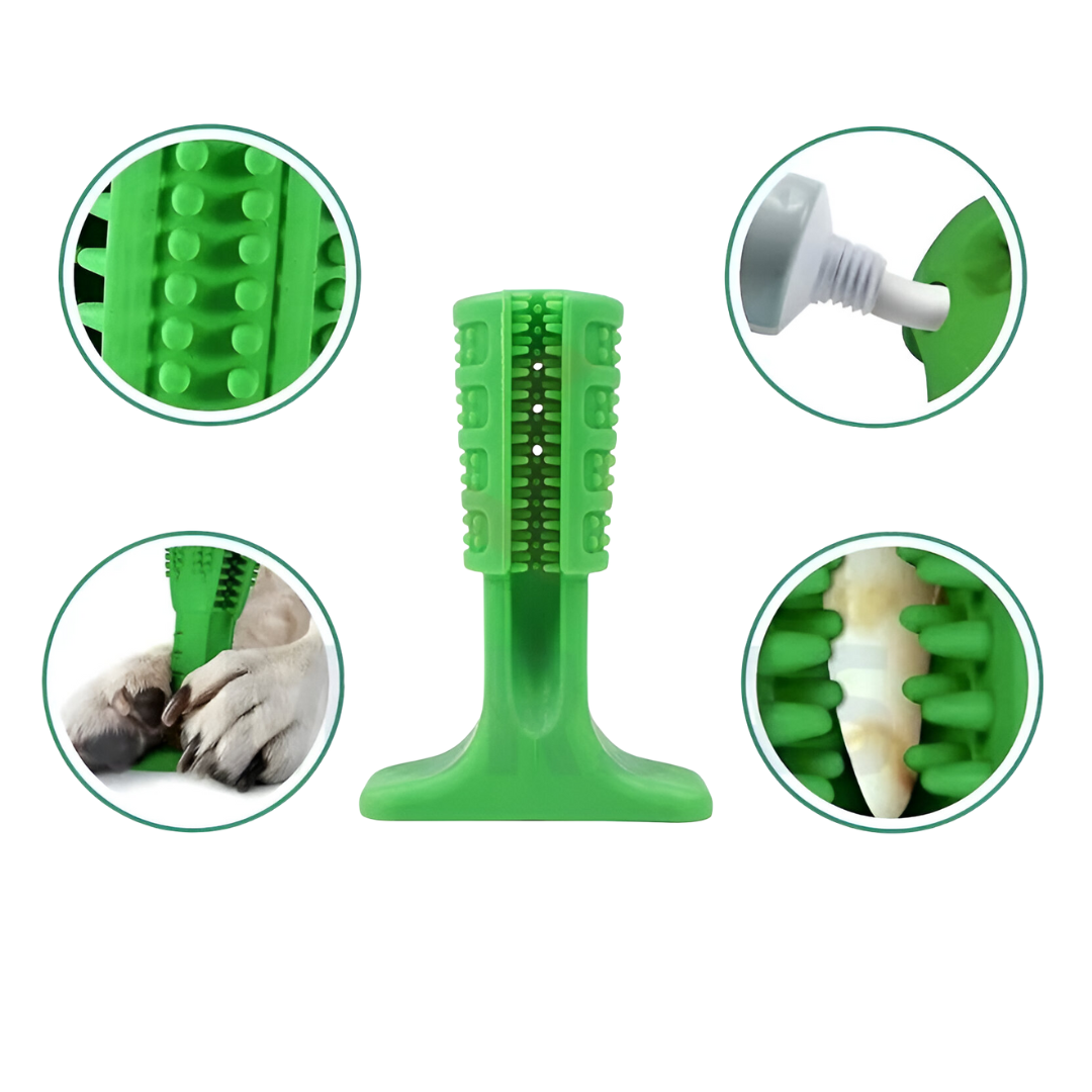 Juguete Morder Cepillo Dientes Pequeño V