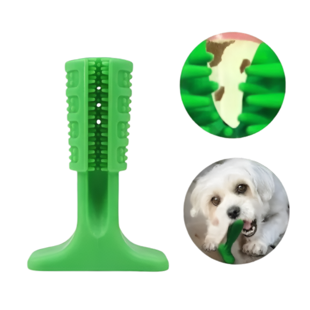 Juguete Morder Cepillo Dientes Pequeño V