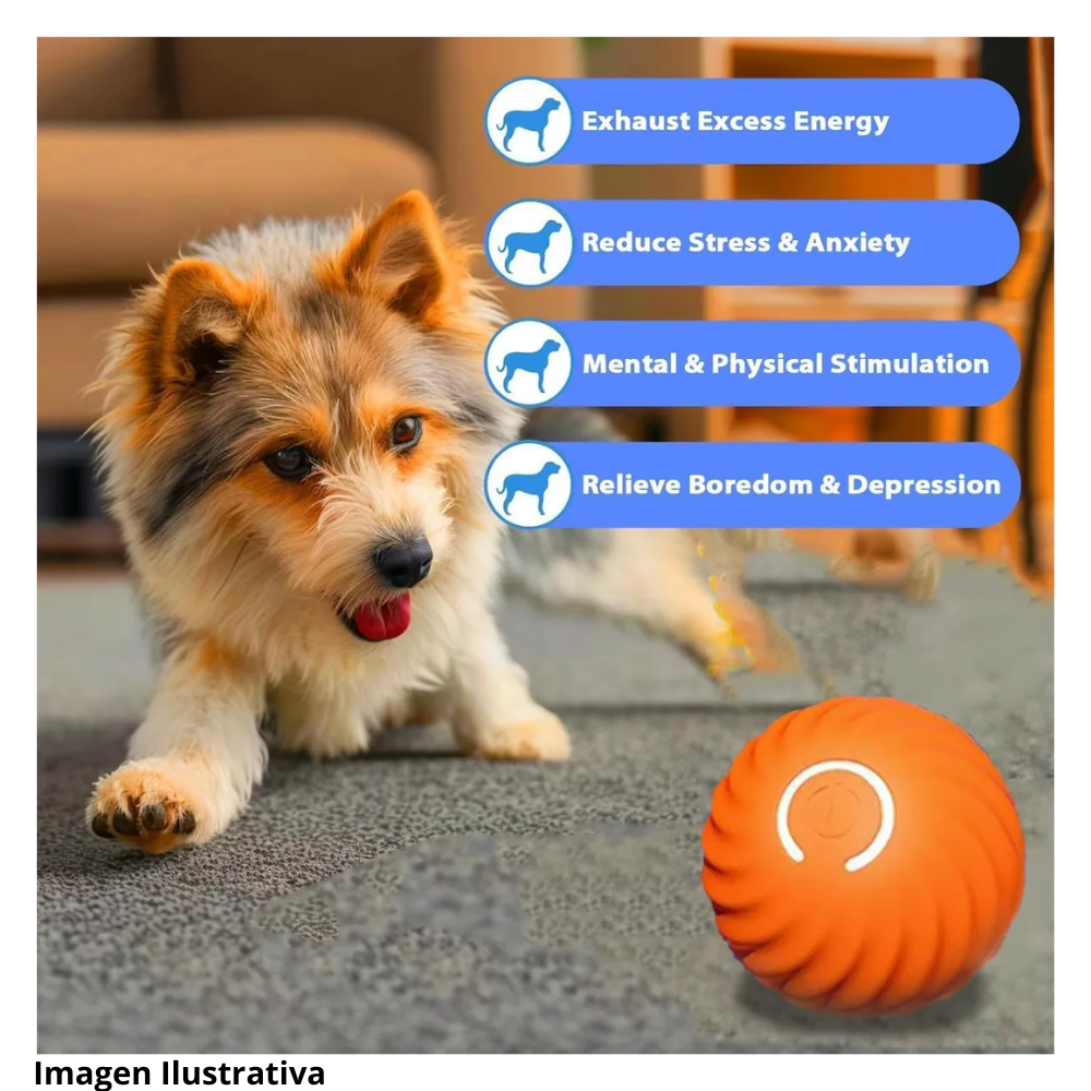 Pelota Rebotante Inteligente Mascotas In