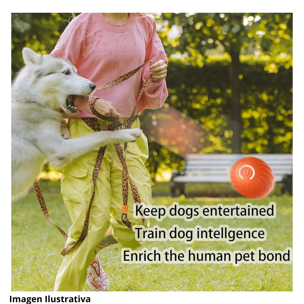 Pelota Rebotante Inteligente Mascotas In